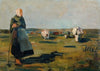 Auf der Weide