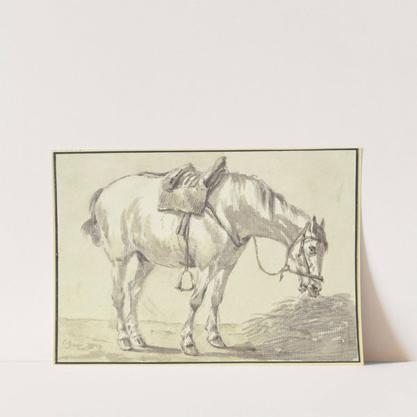 Aufgezäumter Schimmel, fressend nach rechts by Conrad Gessner