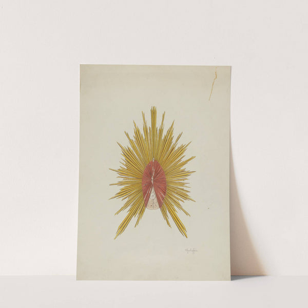 Aurora, from Behind Saint by Cornelius Christoffels