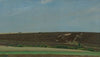 Aus der Heide