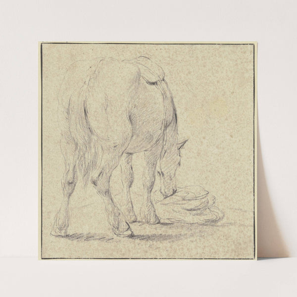 Aus einem Sack fressendes Pferd, rückansichtig in starker Verkürzung by Johann Heinrich Roos