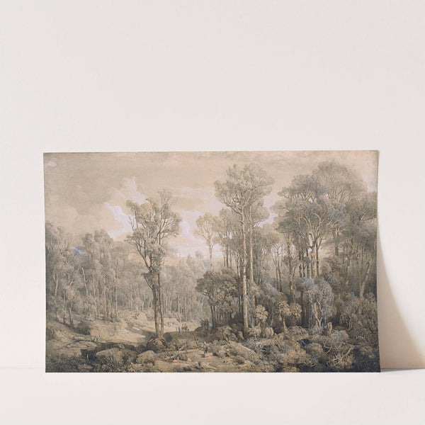Australischer Wald by Joseph Selleny
