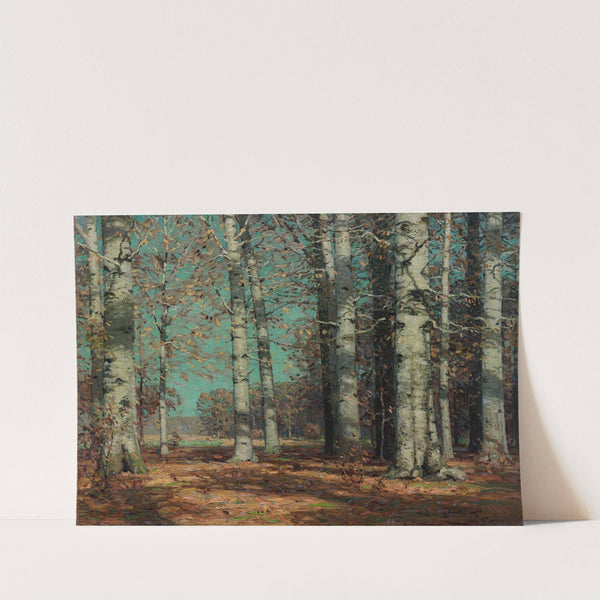 Autumn Beeches by John Fabian Carlson