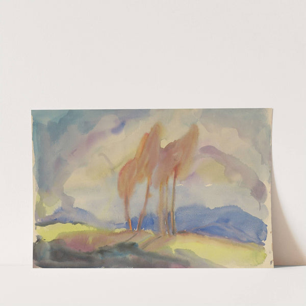 Autumn Birch Trees in a Sunlit Meadow by Zolo Palugyay