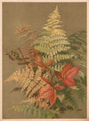 Autumn ferns (1887)