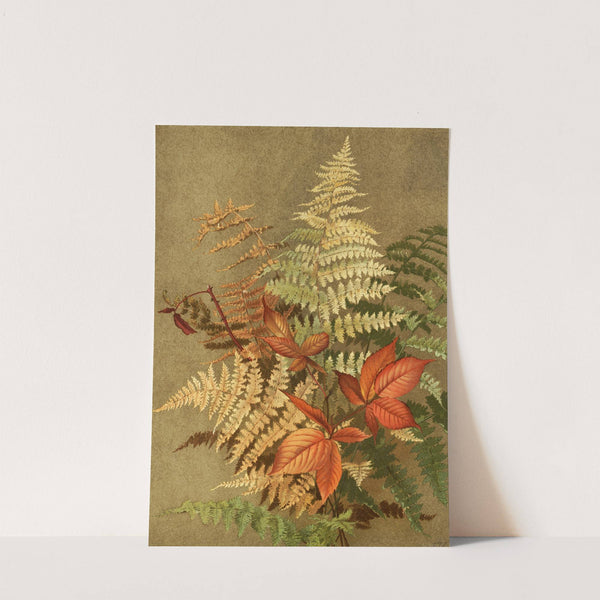 Autumn Ferns by Ellen Fisher