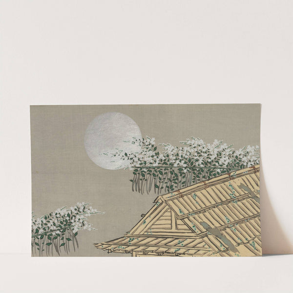 Autumn Flowers (Aki no hana) (1909-1910) by Kamisaka Sekka