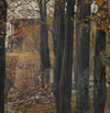 Autumn Landscape