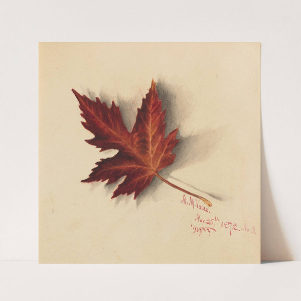 Autumn Leaf (1872) by Mary Vaux Walcott