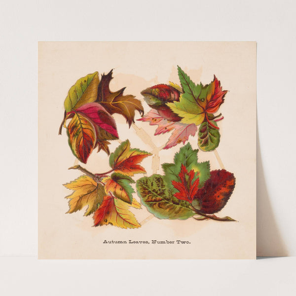 Autumn leaves, no. two (1877) by Louis Prang & Co.