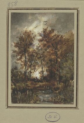 Autumn scenery with a brook
