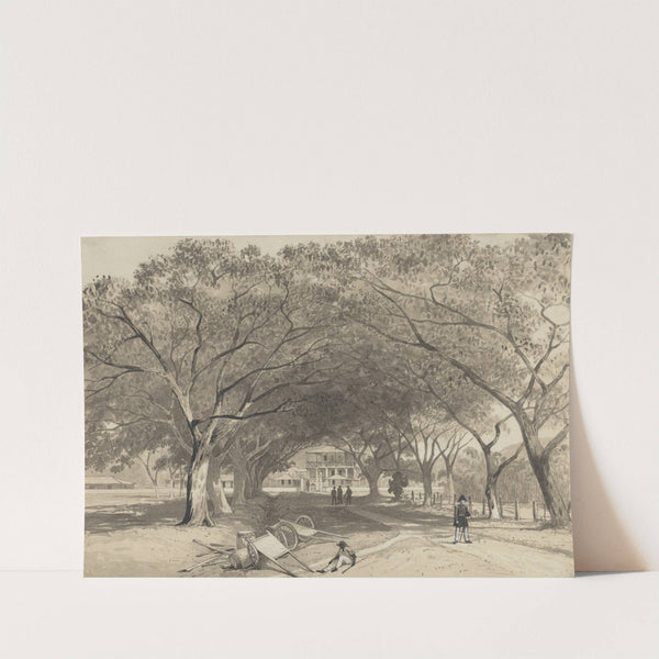 Avenue and Entrance to St. James Barracks by Michel Jean Cazabon