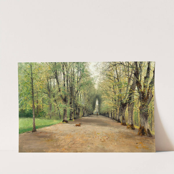 Avenue at Strömsholm by Olof Hermelin