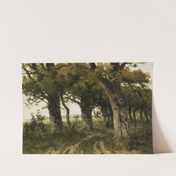 Avenue of Oaks in Late Summer by Maria Bilders-van Bosse