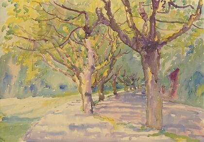 Avenue of plane trees