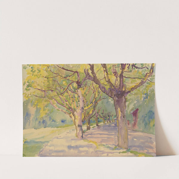 Avenue of plane trees by Philipp Franck