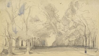 Avenue of Trees