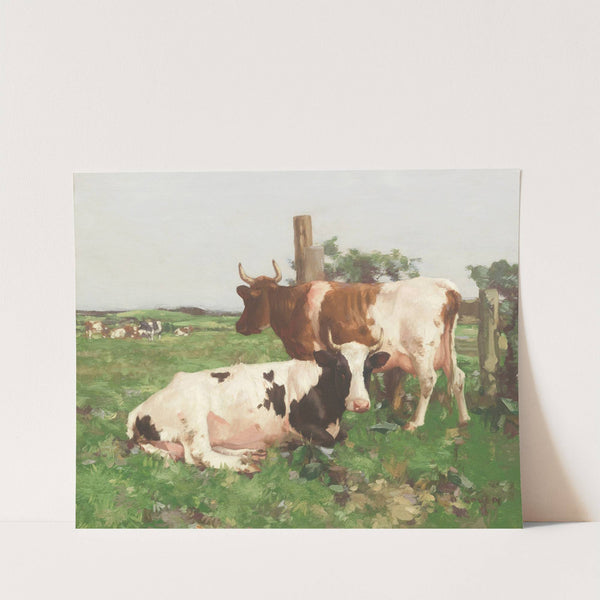 Ayrshire Cattle by David Gauld