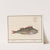 Baars (Perca fluviatilis) Baers. Perca. Perche. (1596-1610) by Anselmus Boëtius de Boodt