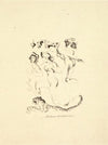 Bacchantes