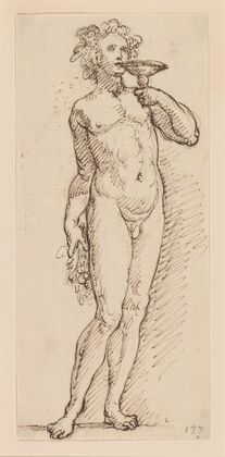 Bacchus