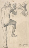 Back View of a Male Nude