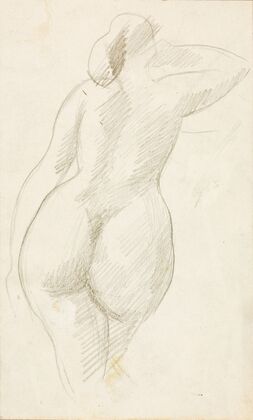 Back View of Female Nude