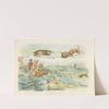 Badger hunting; dogs chasing and attacing badgers (1817-1818) by Henry Thomas Alken