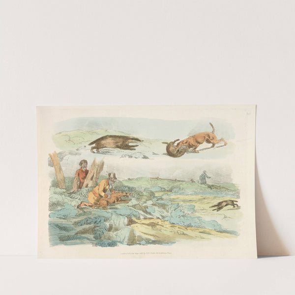 Badger hunting; dogs chasing and attacing badgers (1817-1818) by Henry Thomas Alken
