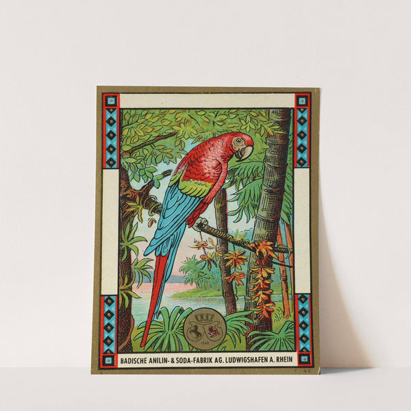 Badische Anilin & Soda-Fabrik dye label with macaw (Circa 1900) by Badische Anilin & Soda-Fabrik