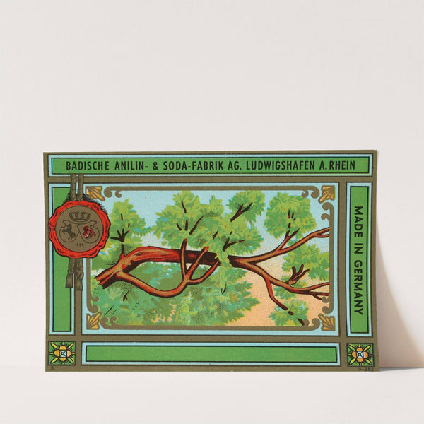 Badische Anilin & Soda-Fabrik dye label with tree branch (Circa 1900) by Badische Anilin & Soda-Fabrik