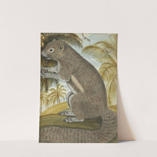 Badjing of sirikatje by Jan Brandes