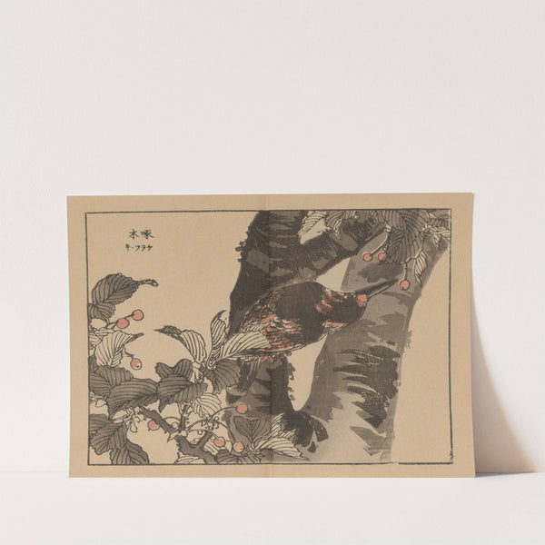 Bairei gafu, Pl.07 by Kōno Bairei