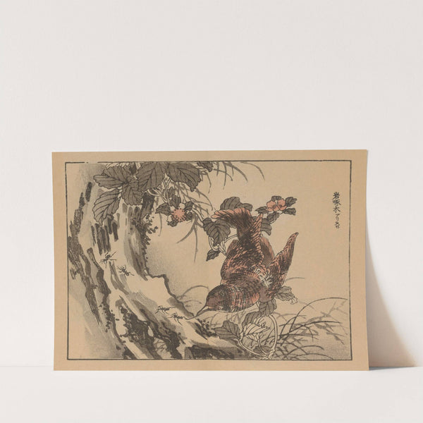 Bairei gafu, Pl.11 by Kōno Bairei