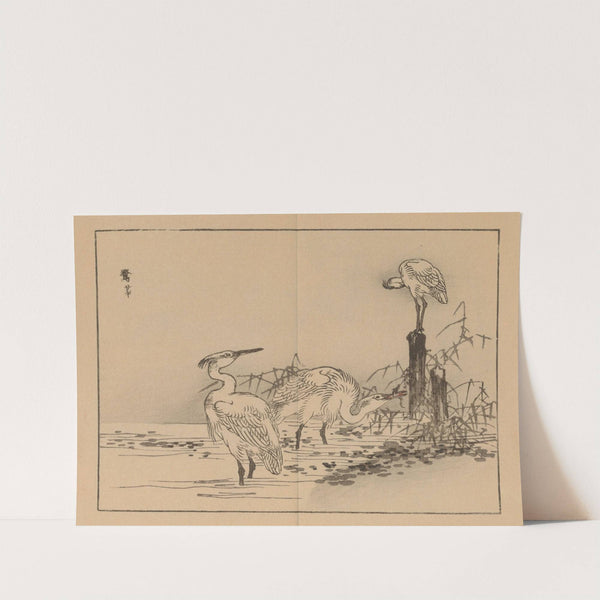 Bairei gafu, Pl.12 by Kōno Bairei
