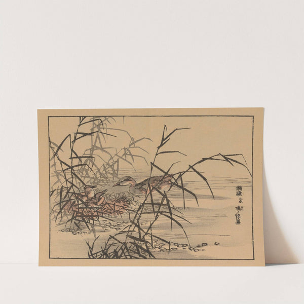 Bairei gafu, Pl.14 by Kōno Bairei