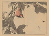 Bairei gafu, Pl.16