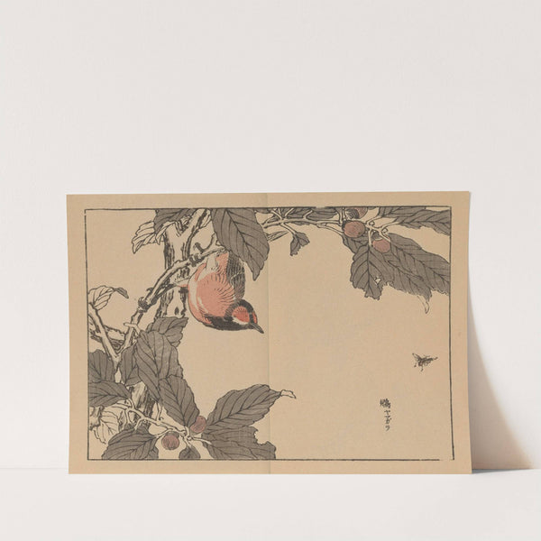 Bairei gafu, Pl.16 by Kōno Bairei