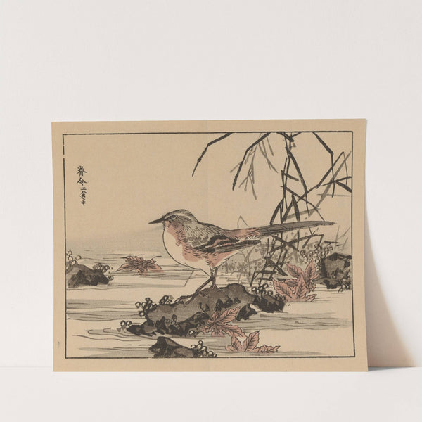 Bairei gafu, Pl.21 by Kōno Bairei