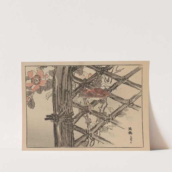 Bairei gafu, Pl.22 by Kōno Bairei