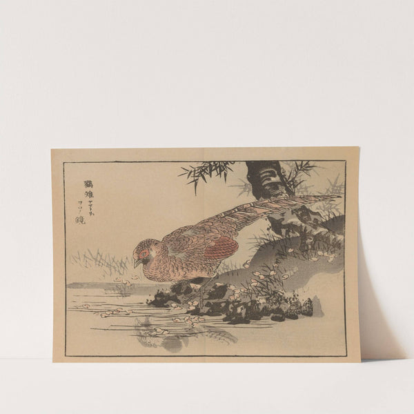 Bairei gafu, Pl.28 by Kōno Bairei