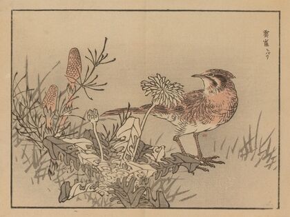 Bairei gafu, Pl.29