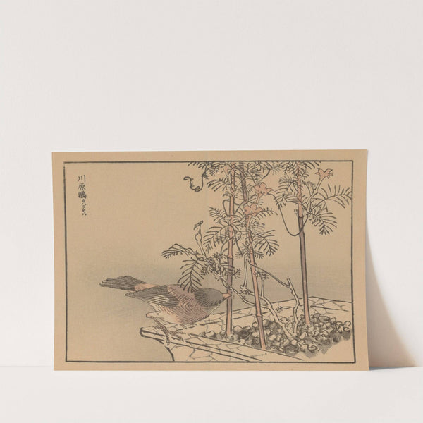 Bairei gafu, Pl.30 by Kōno Bairei