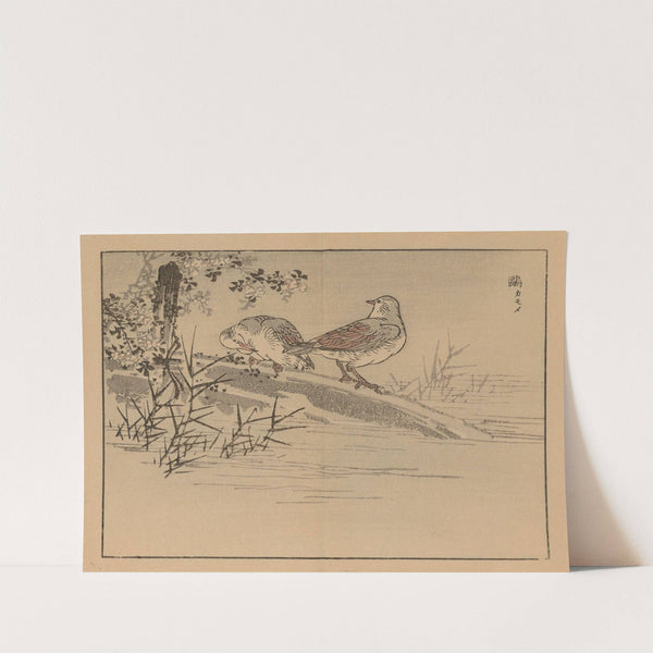 Bairei gafu, Pl.31 by Kōno Bairei