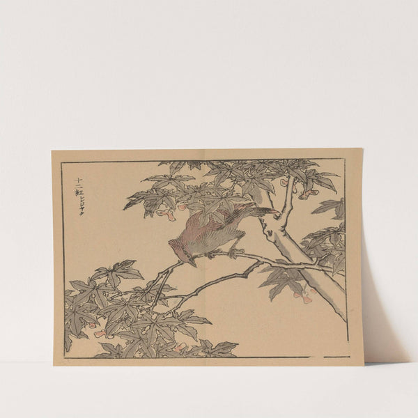 Bairei gafu, Pl.32 by Kōno Bairei