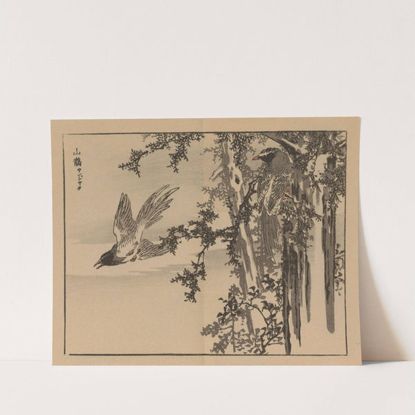 Bairei gafu, Pl.34 by Kōno Bairei