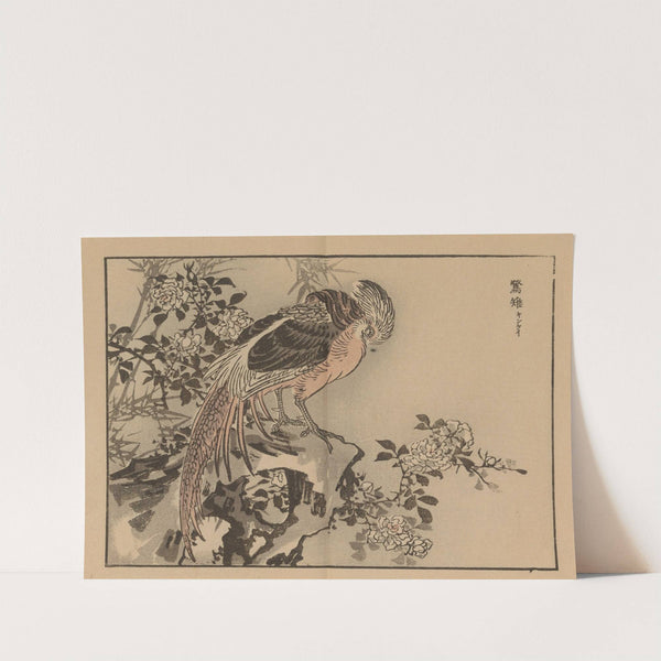Bairei gafu, Pl.37 by Kōno Bairei