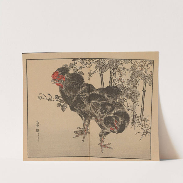 Bairei gafu, Pl.41 by Kōno Bairei