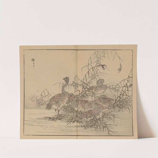 Bairei gafu, Pl.43 by Kōno Bairei