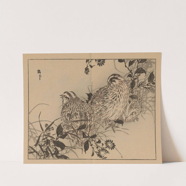 Bairei gafu, Pl.44 by Kōno Bairei